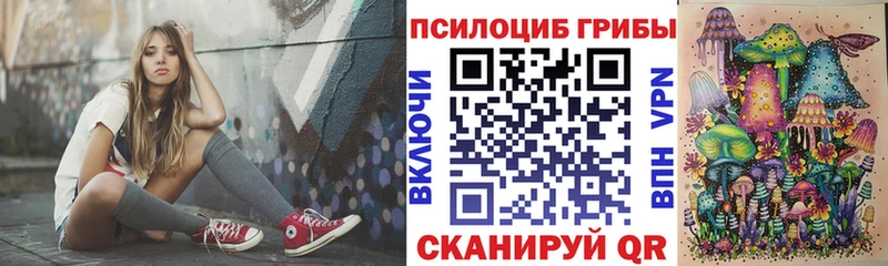 Галлюциногенные грибы Psilocybe Шарыпово